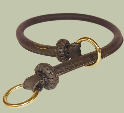 leather training collar