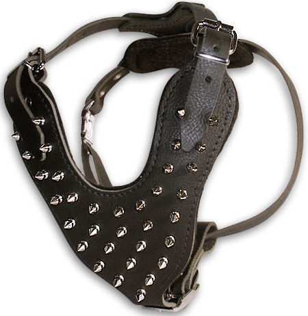 Looking for  Spike Dog Harness Manufacturers