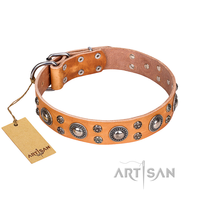 'Extra Sparkle' FDT Artisan Handcrafted Tan Leather Dog Collar