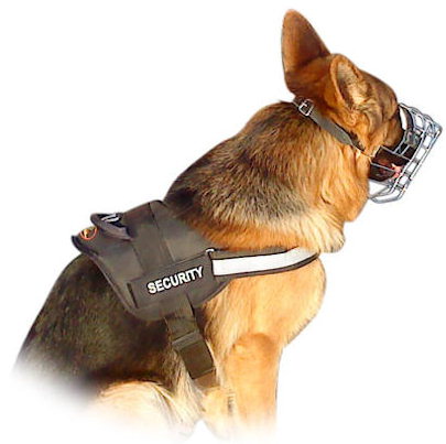 service dog vest