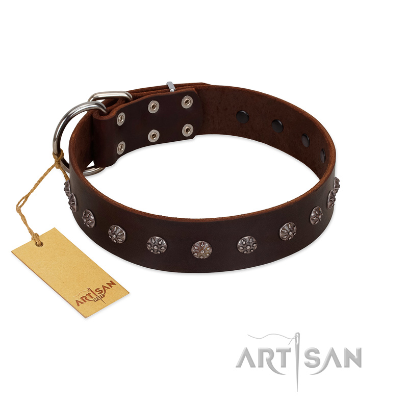 "Graceful Classic" Mod FDT Artisan Brown Leather dog Collar - Click Image to Close