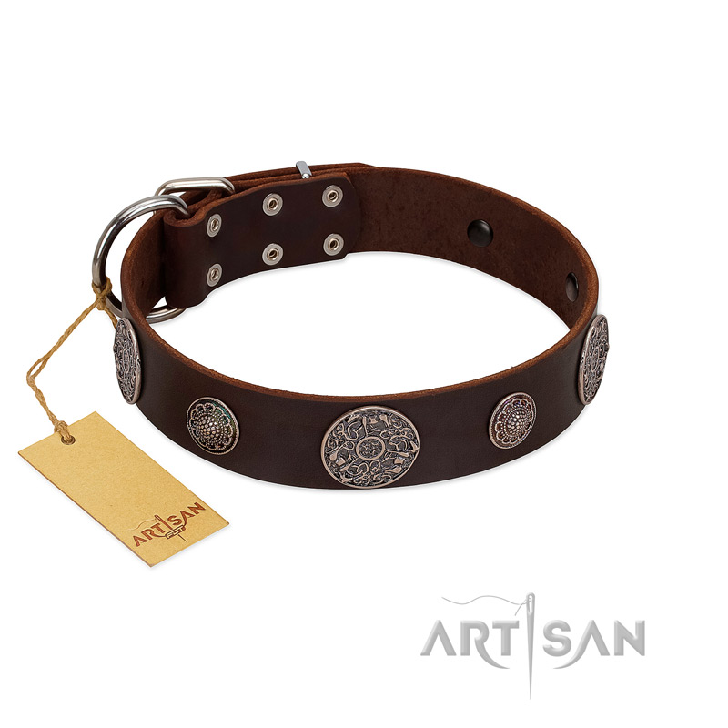 "Flashy Woof" FDT Artisan Brown Leather dog Collar with Chrome Plated Brooches - Click Image to Close
