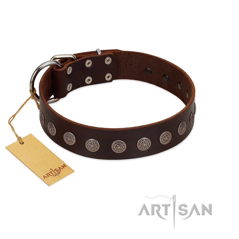 "Starry-Eyed" Best Quality FDT Artisan Brown Designer Leather dog Collar with Small Plates