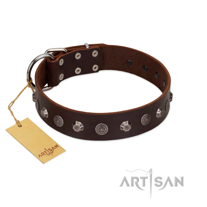 "Dark Chocolate" Handmade FDT Artisan Brown Leather dog Collar with Studs