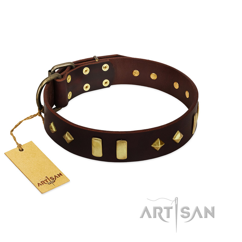 "Blinking Illusion" FDT Artisan Brown Leather dog Collar with Old Bronze-like Studs and Plates