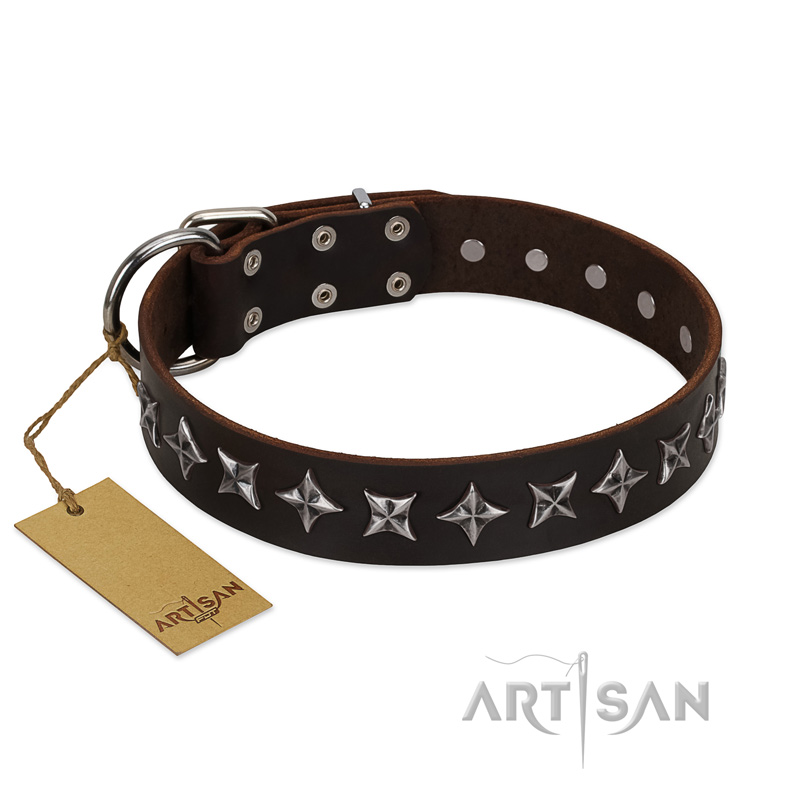 "Stars of Glory" FDT Artisan Brown Leather dog Collar for Comfortable Walking