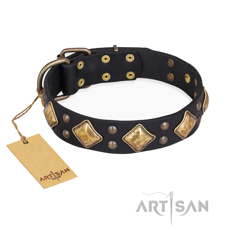 "Fancy-Schmancy" FDT Artisan Studded Leather dog Collar