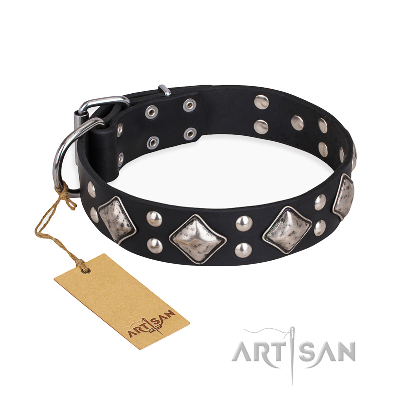 "Smart Geometry" FDT Artisan Studded Leather dog Collar