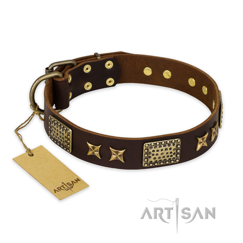 "Sparkling Bronze" FDT Artisan Genuine Leather dog Collar with Bronze Look Stars and Plates - Click Image to Close