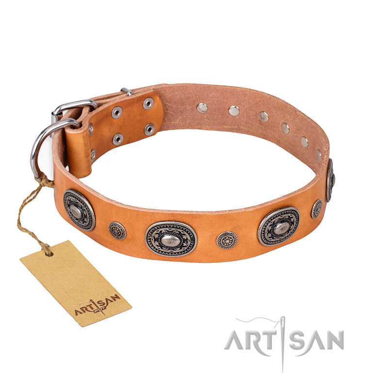 "Twinkle Twinkle" FDT Artisan Incredible Studded Tan Leather dog Collar - Click Image to Close