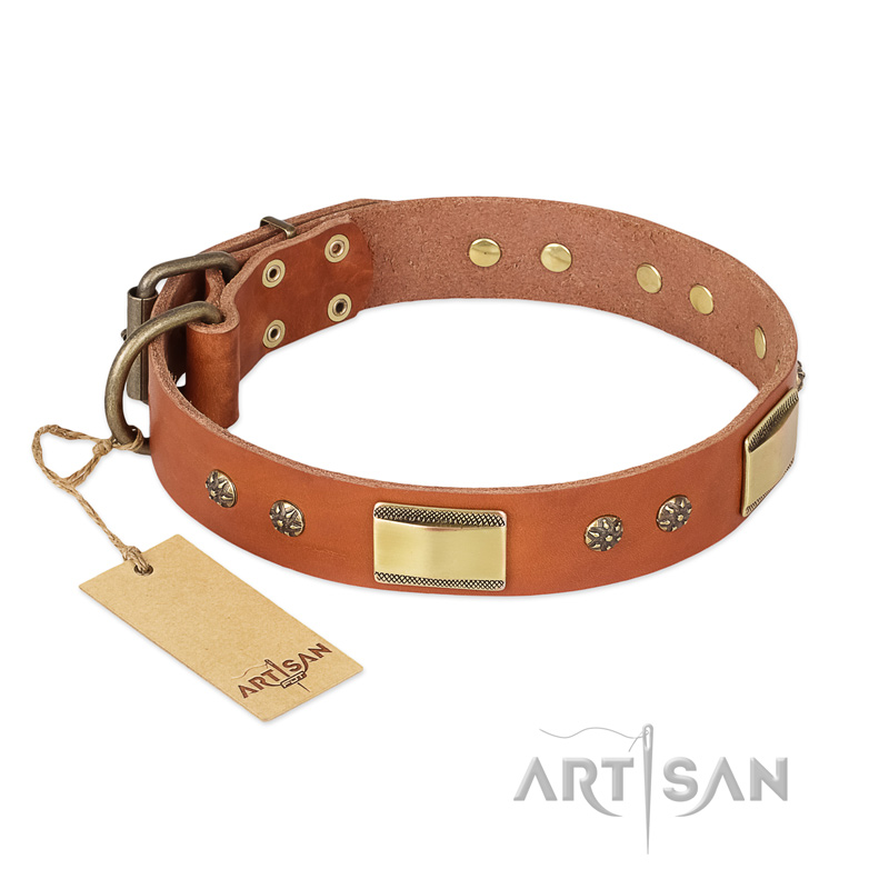 "Enchanting Spectacle" FDT Artisan Tan Leather dog Collar with Old Bronze Look Plates and Round Studs