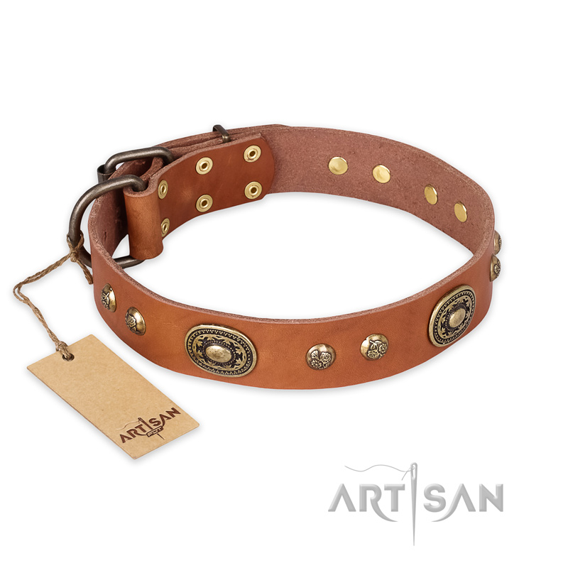 "Stunning Dress" FDT Artisan Tan Leather dog Collar with Old Bronze Look Plates and Studs - Click Image to Close