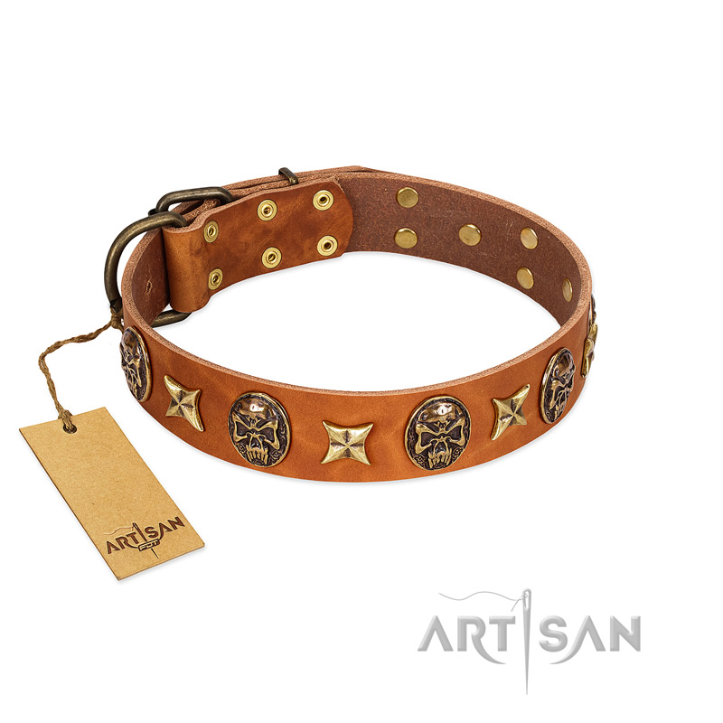 "Rockin' Doggie" FDT Artisan Tan Leather dog Collar Adorned with Stars and Skulls