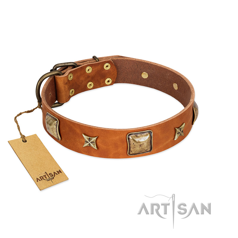 "Celtic Tunes" FDT Artisan Tan Leather dog Collar Adorned with Stars and Squares