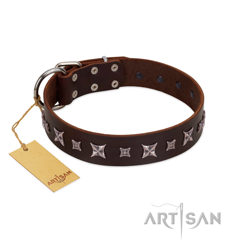 "Stellar Fairy " FDT Artisan Brown Leather dog Collar with Chrome-plated Star-like Decorations