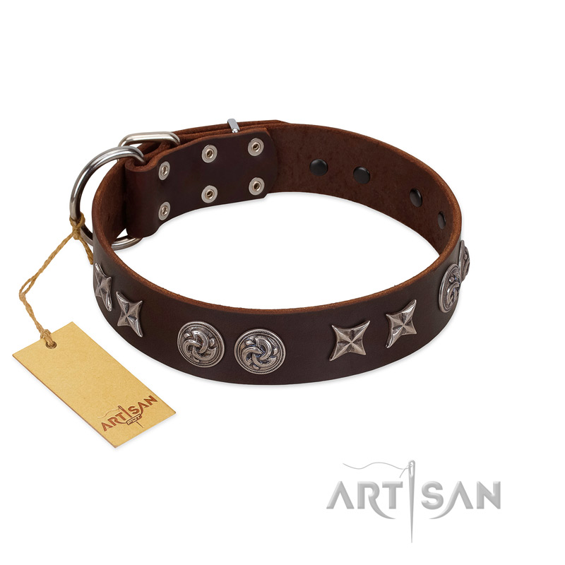"Silver Sunset" Designer Handmade FDT Artisan Brown Leather dog Collar