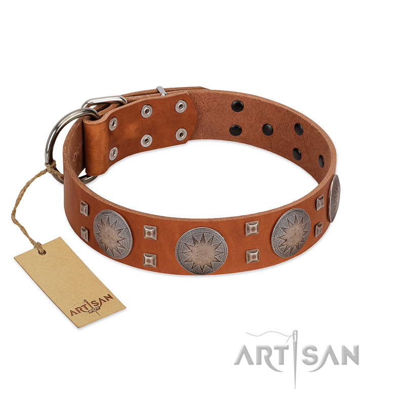 "Sun Rise Noon" FDT Artisan Tan Leather dog Collar with Unique Design