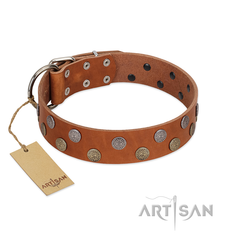 "Ancient Symbol" Trendy FDT Artisan Tan Leather dog Collar with Silver- and Gold-Like Studs - Click Image to Close