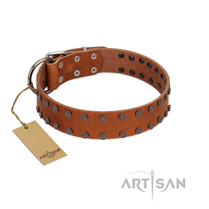 "Star Light" Stylish FDT Artisan Tan Leather dog Collar with Silver-Like Studs - Click Image to Close