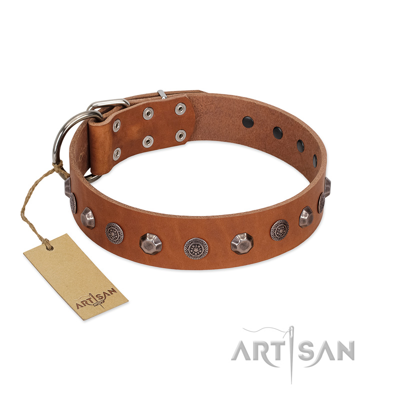 "Silver Age" Fashionable FDT Artisan Tan Leather dog Collar with Silver-Like Studs - Click Image to Close