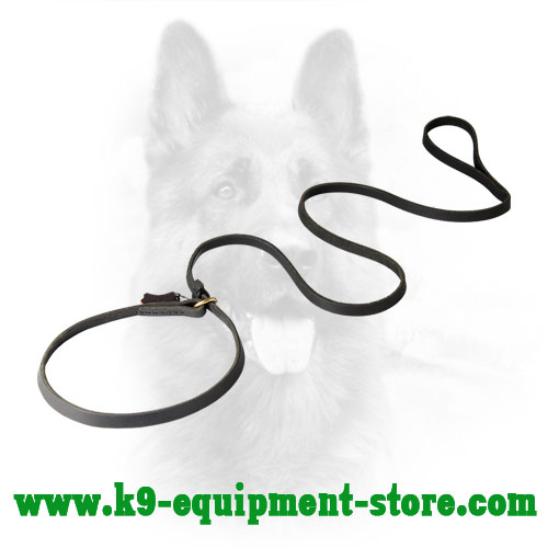 Leather Dog Leash Combined with Choke Collar Choke Collar Dog Leash Combo Made of Leather