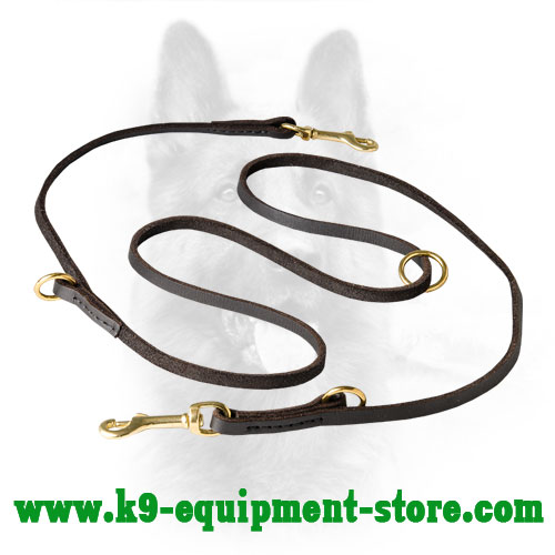 Multifunctional Leather Dog Lead