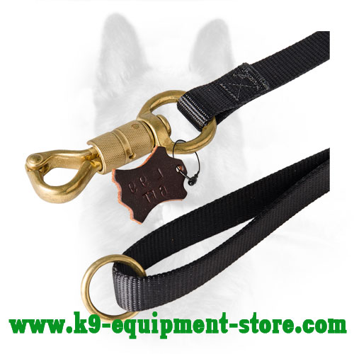 Nylon Dog Lead with Rustproof Brass Snap Hook