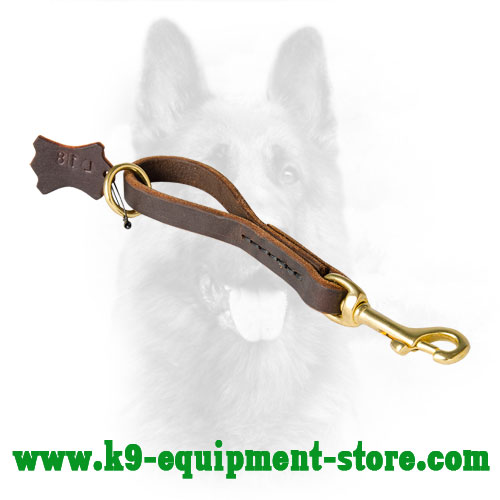 Leather Pull Tab Dog Lead