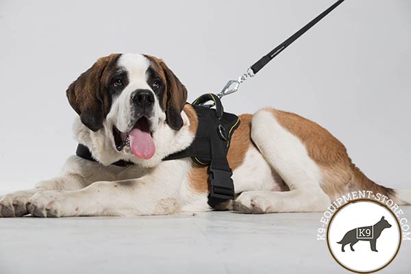 Moscow-Watchdog nylon-leash with corrosion resistant nickel plated hardware for walking