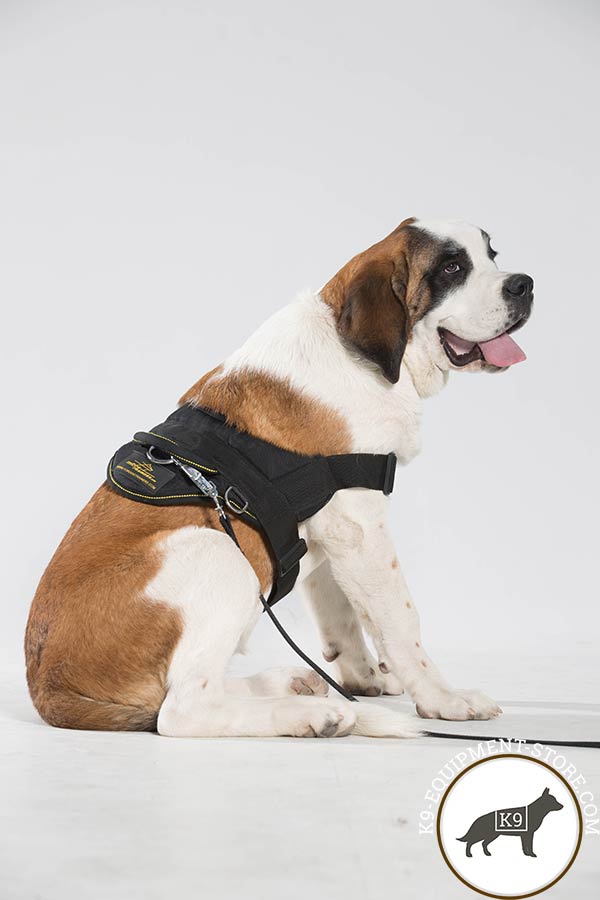 Moscow Watchdog nylon leash of lightweight material with handle for improved control