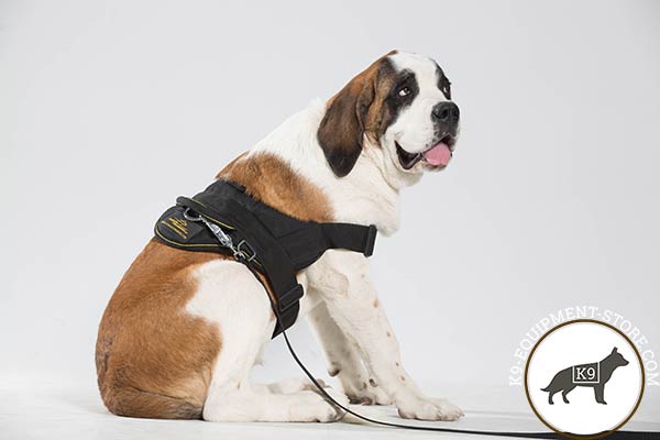 Moscow-Watchdog nylon-leash with rustless hardware for daily walks