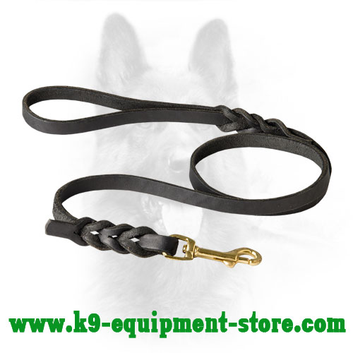 Basic Training Leather K9 Leash with Braided Design