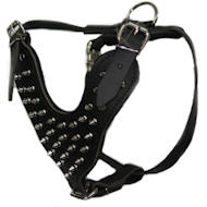 Leather Spiked Dog Harness- Deluxe custom Leather Harness-K9 Dogs