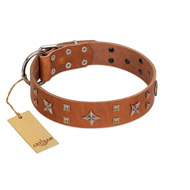 "Dreamy Gleam" FDT Artisan Tan Leather dog Collar Adorned with Stars and Squares