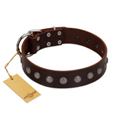 "Spring Flower" Stylish FDT Artisan Brown Leather dog Collar for Comfy Walks