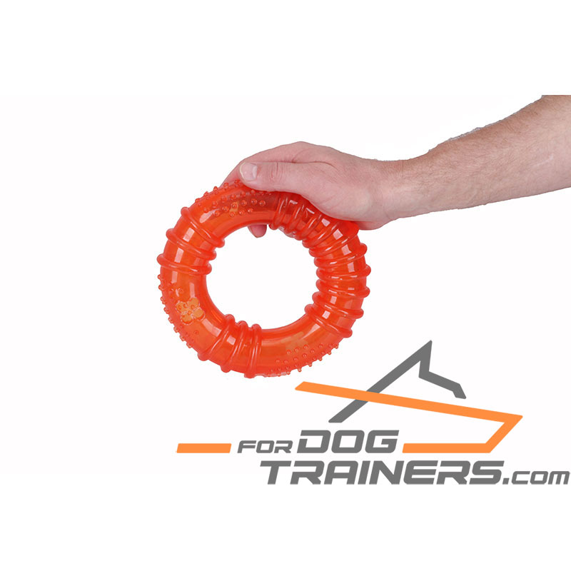 Interactive Dog Treat Holder