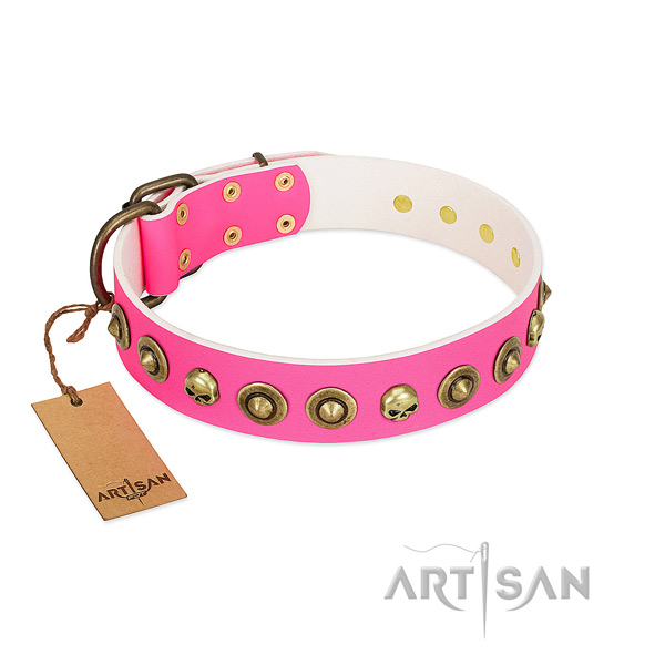 Impressive leather dog collar with durable decorations
