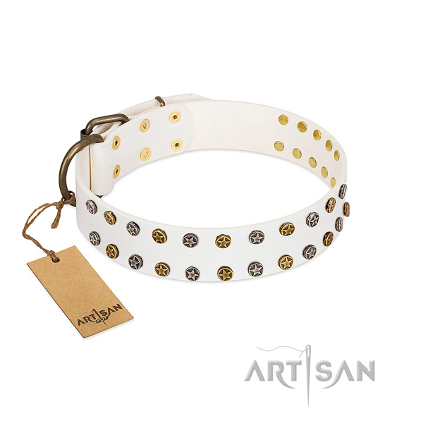 Exceptional full grain leather dog collar with strong decorations
