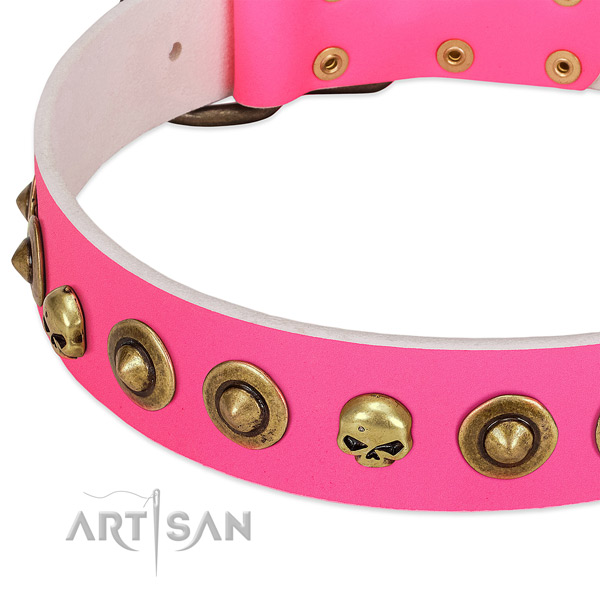 Remarkable embellishments on genuine leather collar for your four-legged friend
