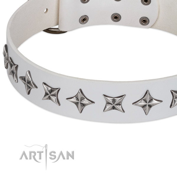 Daily walking studded dog collar of top notch genuine leather