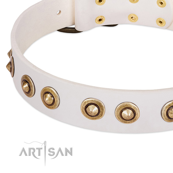 Reliable embellishments on full grain genuine leather dog collar for your canine