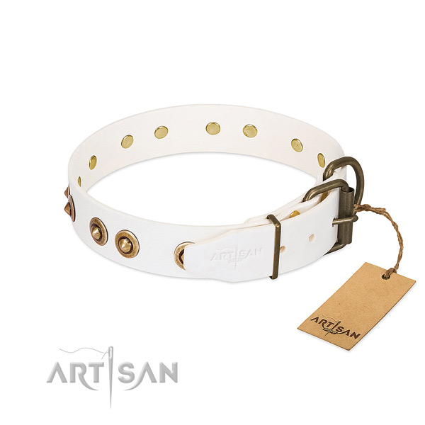 Rust resistant studs on full grain natural leather dog collar for your doggie