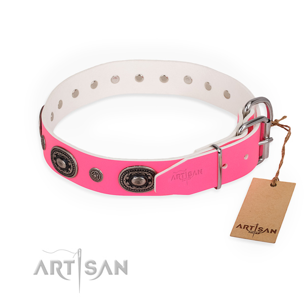 Everyday use perfect fit dog collar with corrosion resistant hardware