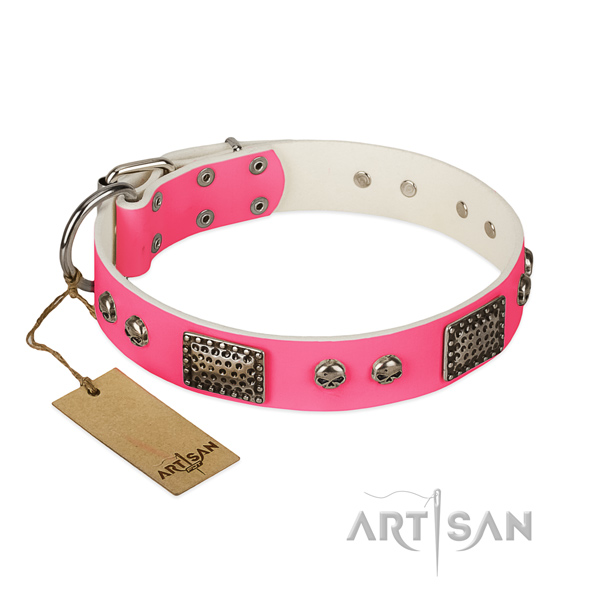 Easy to adjust natural leather dog collar for stylish walking your pet