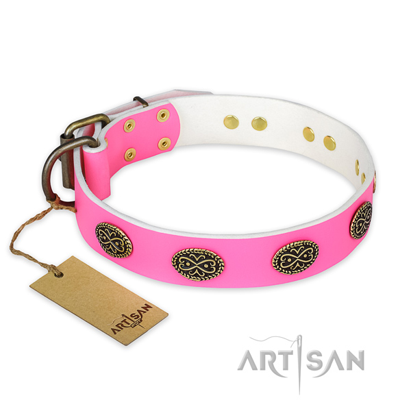 Stunning natural genuine leather dog collar for walking