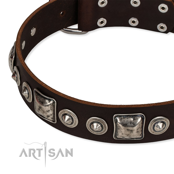 Reliable genuine leather dog collar created for your handsome dog