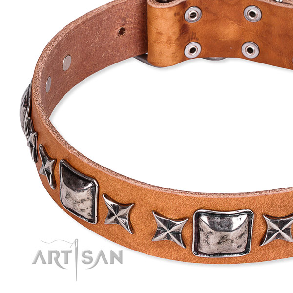 Handy use decorated dog collar of best quality full grain leather