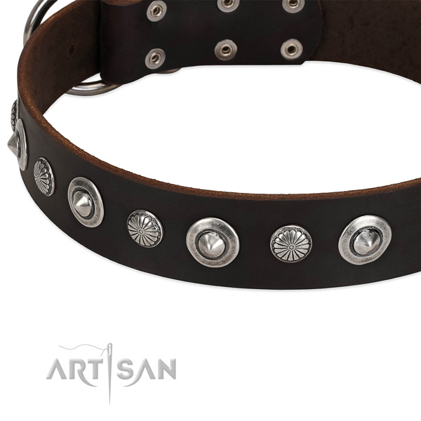 Unique adorned dog collar of best quality full grain natural leather