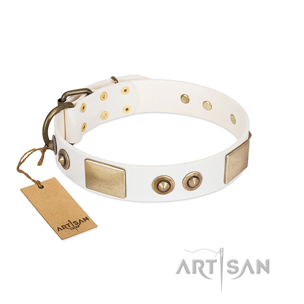 Corrosion proof D-ring on full grain leather dog collar for your dog