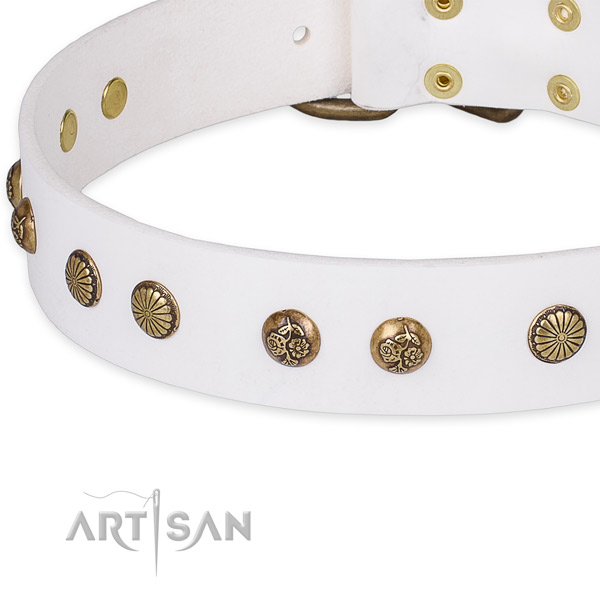 Full grain natural leather collar with rust-proof fittings for your beautiful doggie
